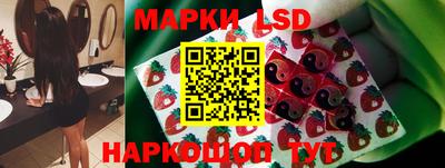 Альфа ПВП Малгобек