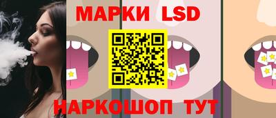 Альфа ПВП Малгобек