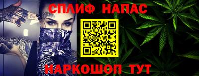 Альфа ПВП Малгобек