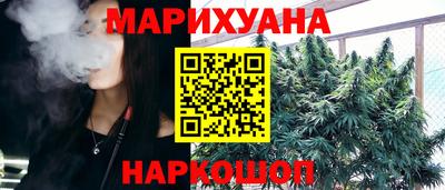 Альфа ПВП Малгобек